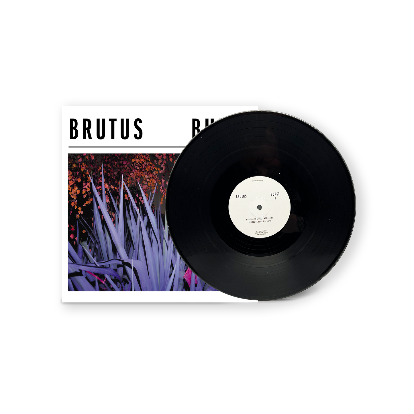 Brutus 'Burst'